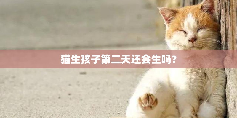 猫生孩子第二天还会生吗? 猫生孩子第二天还会生吗?
