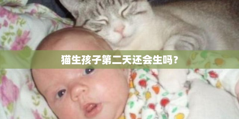 猫生孩子第二天还会生吗? 猫生孩子第二天还会生吗?