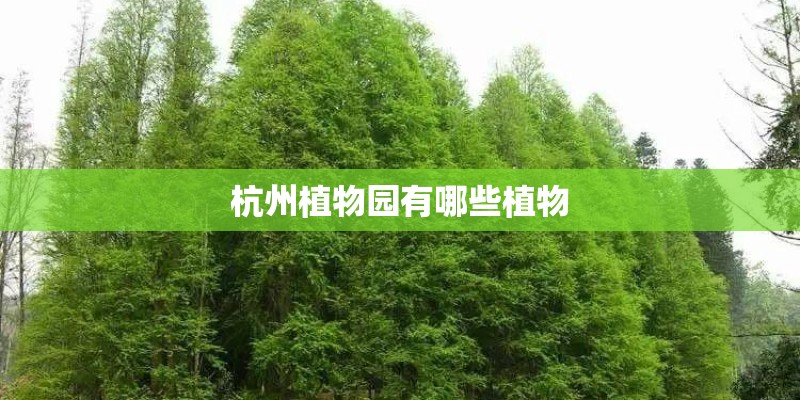 杭州植物园有哪些植物