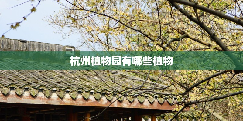 杭州植物园有哪些植物