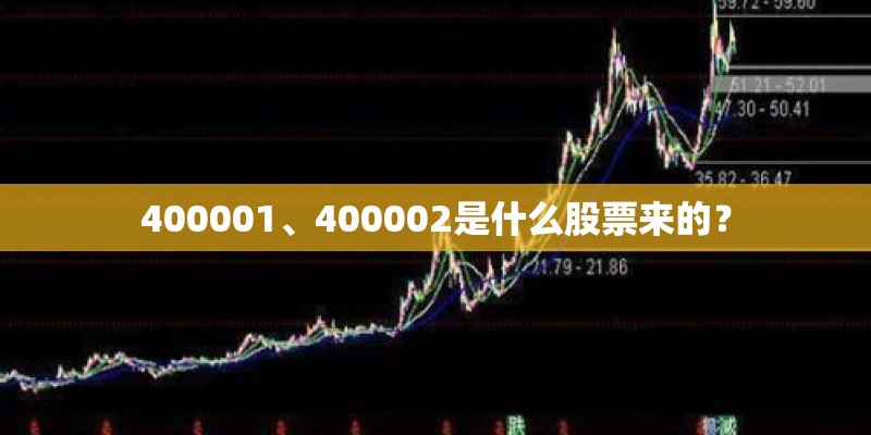 400001、400002是什么股票来的？