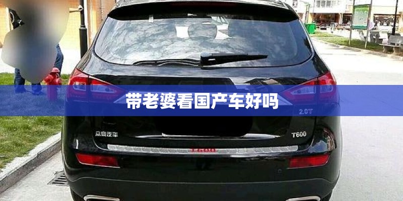 带老婆看国产车好吗