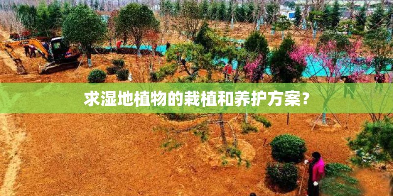 求湿地植物的栽植和养护方案? 求湿地植物的栽植和养护方案?