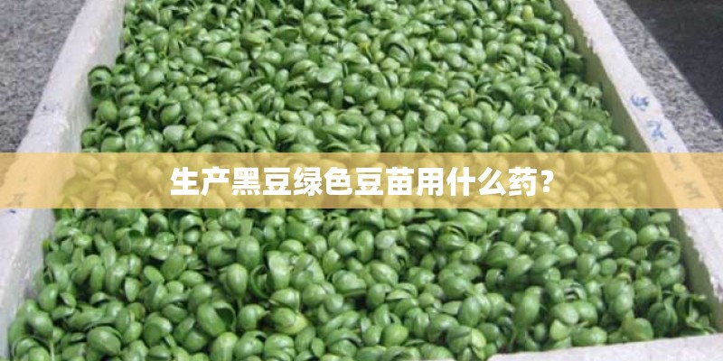 生产黑豆绿色豆苗用什么药？