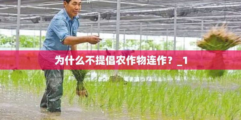 为什么不提倡农作物连作?_1 为什么不提倡农作物连作?_1