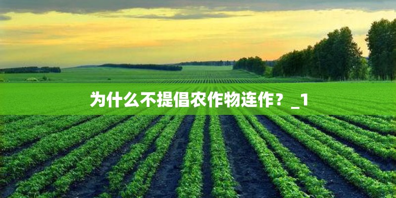 为什么不提倡农作物连作?_1 为什么不提倡农作物连作?_1