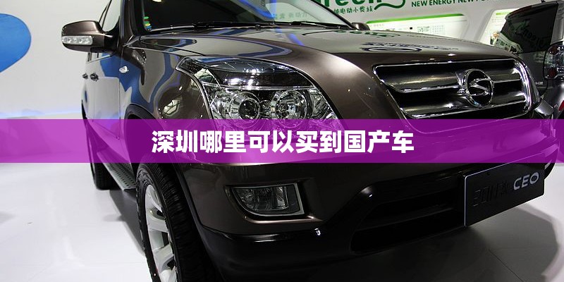 深圳哪里可以买到国产车