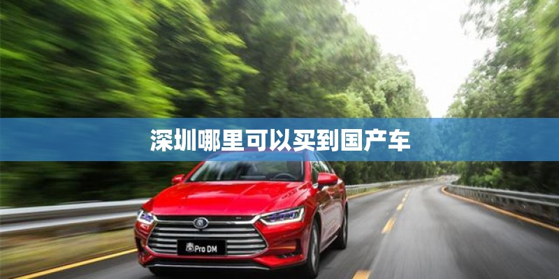 深圳哪里可以买到国产车
