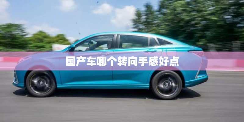国产车哪个转向手感好点