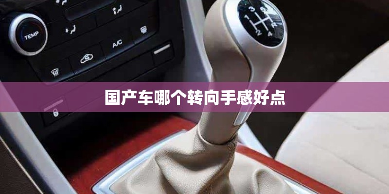 国产车哪个转向手感好点