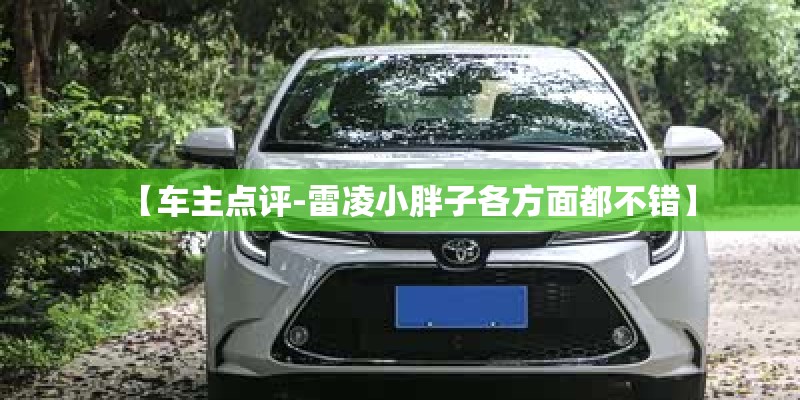 【车主点评-雷凌小胖子各方面都不错】