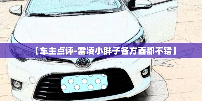 【车主点评-雷凌小胖子各方面都不错】