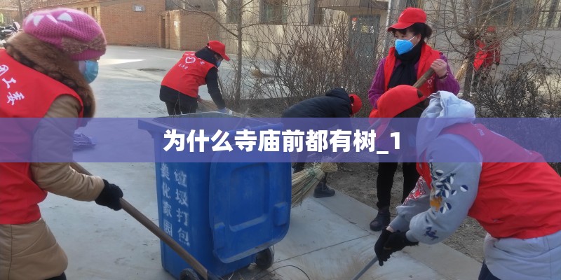 为什么寺庙前都有树_1