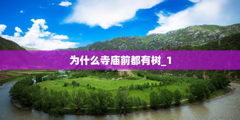 为什么寺庙前都有树_1