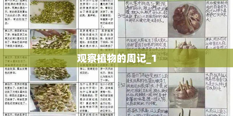观察植物的周记_1