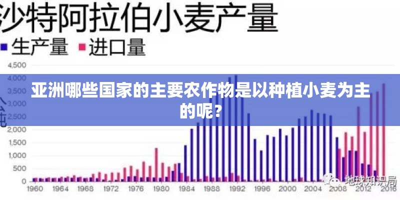 亚洲哪些国家的主要农作物是以种植小麦为主的呢？