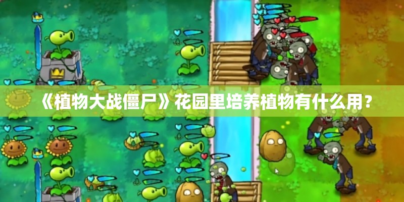《植物大战僵尸》花园里培养植物有什么用？