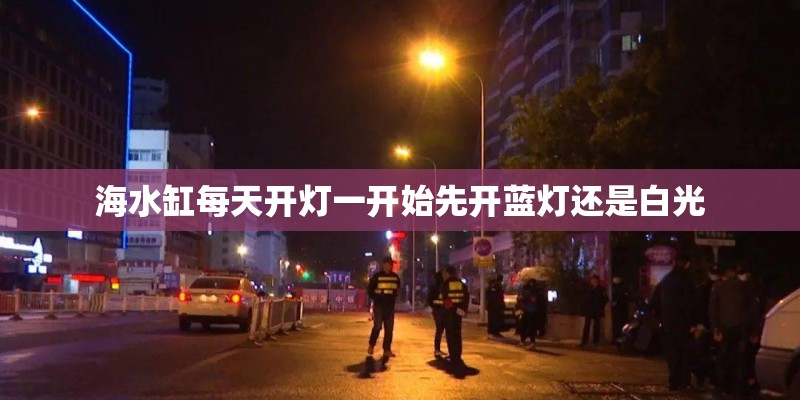 海水缸每天开灯一开始先开蓝灯还是白光
