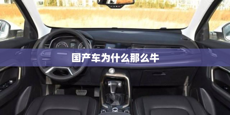 国产车为什么那么牛
