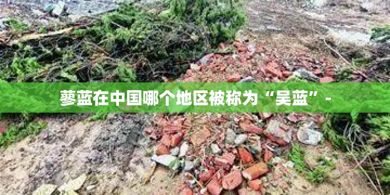 蓼蓝在中国哪个地区被称为“吴蓝”-