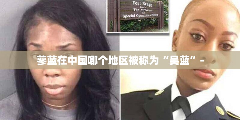 蓼蓝在中国哪个地区被称为“吴蓝”-