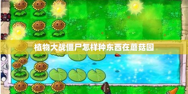 植物大战僵尸怎样种东西在蘑菇园