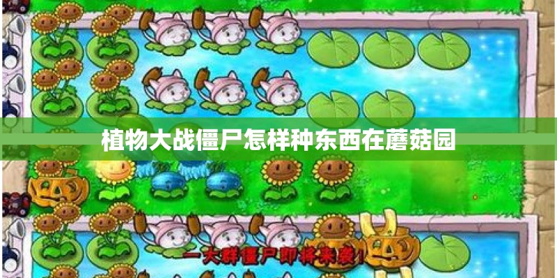 植物大战僵尸怎样种东西在蘑菇园