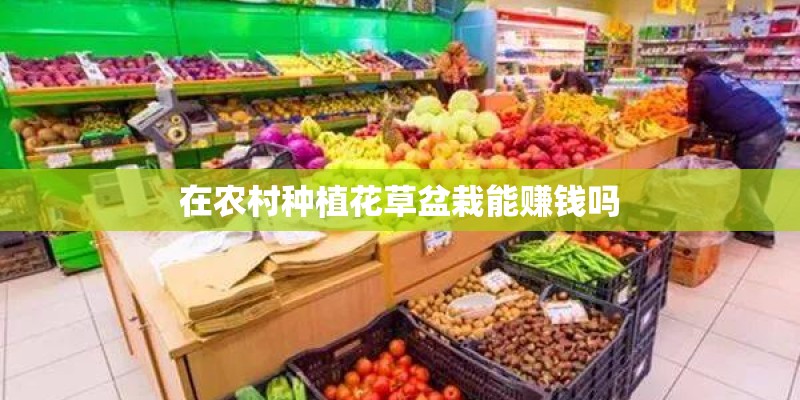 在农村种植花草盆栽能赚钱吗