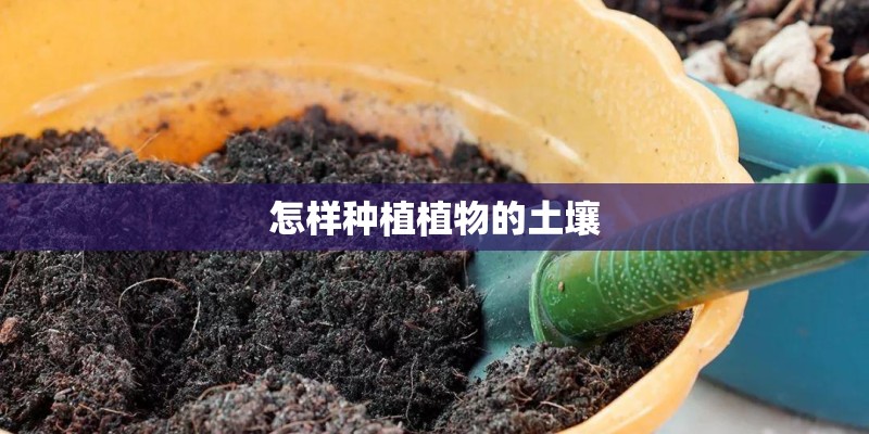 怎样种植植物的土壤