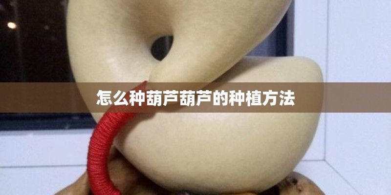 怎么种葫芦葫芦的种植方法