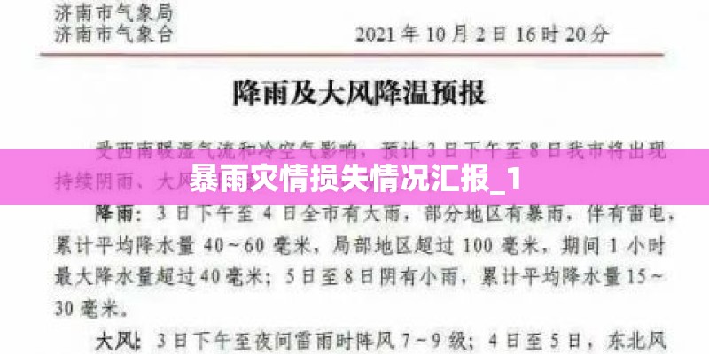 暴雨灾情损失情况汇报_1