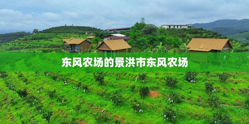 东风农场的景洪市东风农场