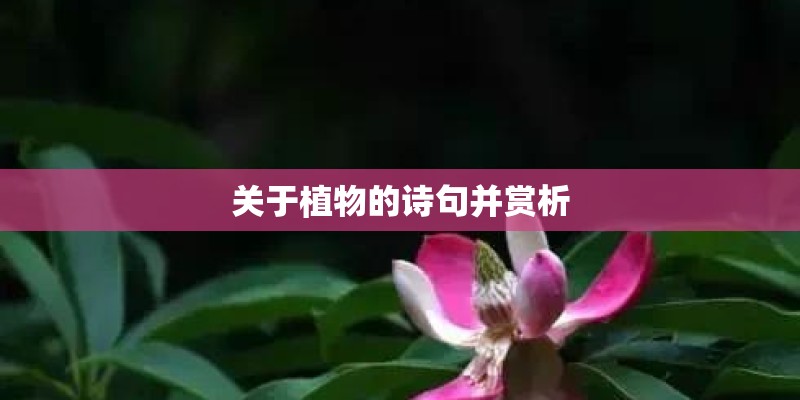 关于植物的诗句并赏析