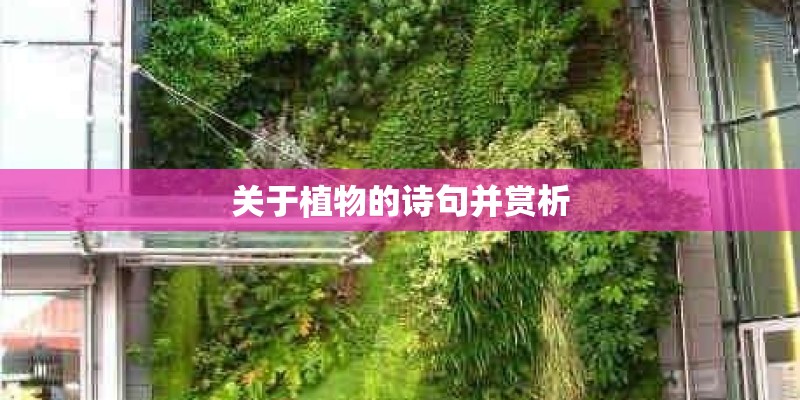 关于植物的诗句并赏析