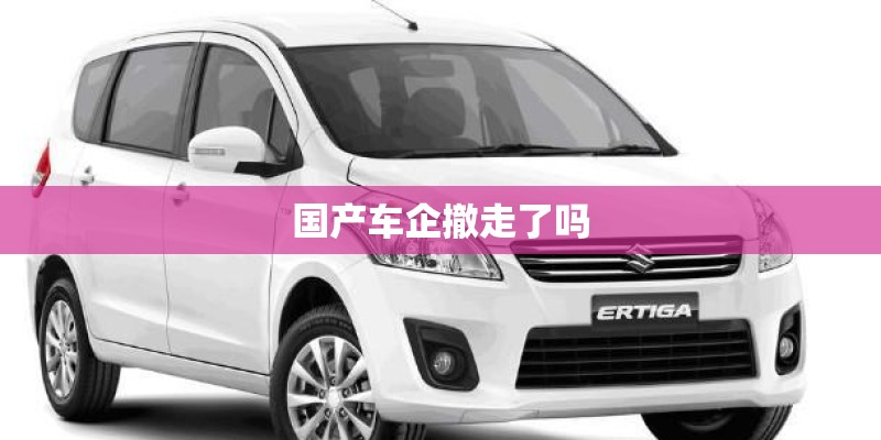 国产车企撤走了吗