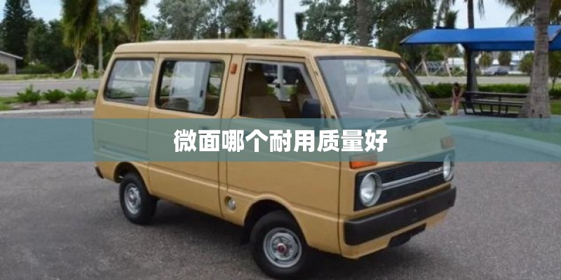 微面哪个耐用质量好