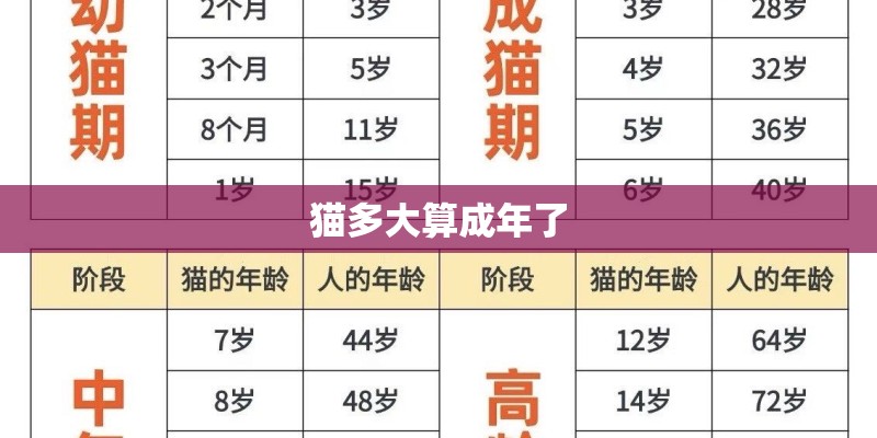 猫多大算成年了