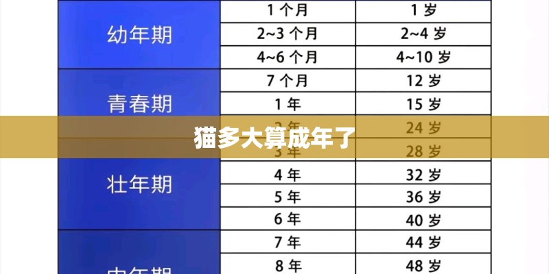猫多大算成年了