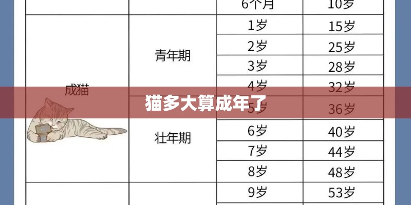 猫多大算成年了