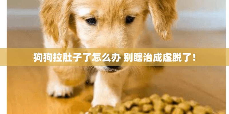 狗狗拉肚子了怎么办 别瞎治成虚脱了！