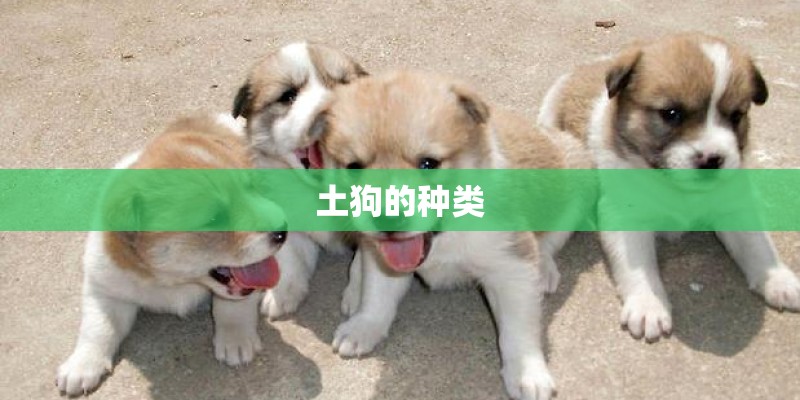 土狗的种类