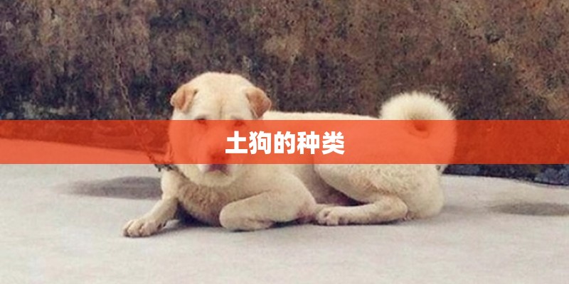 土狗的种类