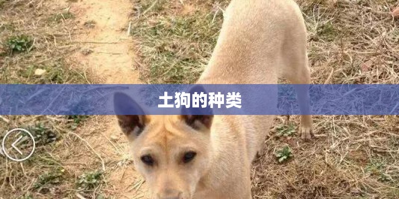 土狗的种类