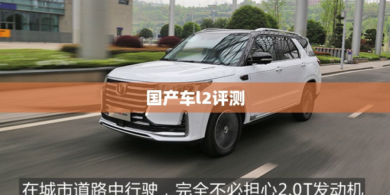 国产车l2评测 国产车l2评测