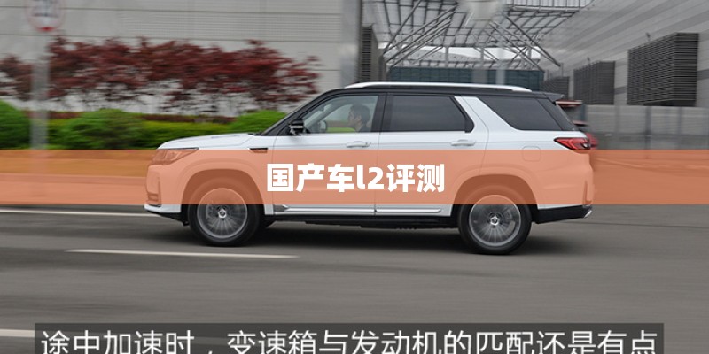 国产车l2评测 国产车l2评测