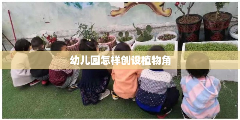 幼儿园怎样创设植物角
