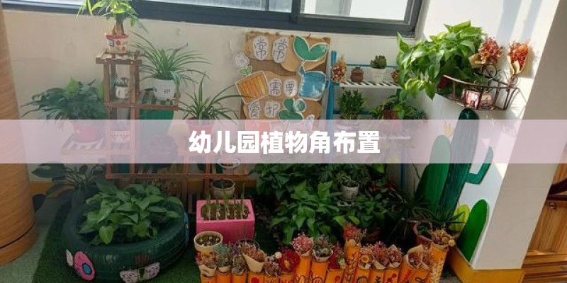 幼儿园植物角布置