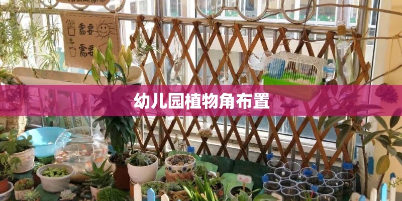幼儿园植物角布置