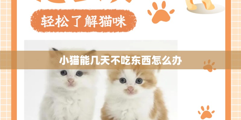 小猫能几天不吃东西怎么办