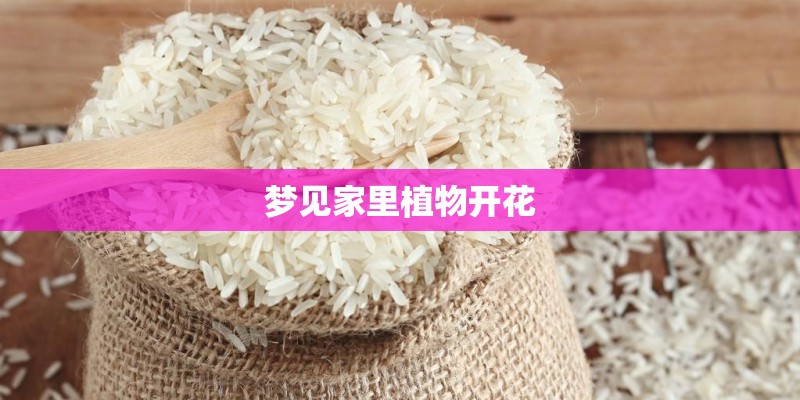 梦见家里植物开花 梦见家里植物开花